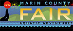 Marin County Fair underwater photography competition Photo