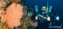 Researchers seek input for AI underwater imagery project Photo