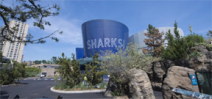 $158 million addition all about Sharks opens in New York Aquarium Photo