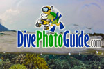 DivePhotoGuide awarded Best Website at Antibes Photo