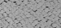 In a recent paper scientists show the applications for dermal denticles Photo