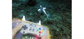 M.I.T. scientists design a robotic fish to track ocean health Photo