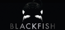 Blackfish now showing in theatres Photo