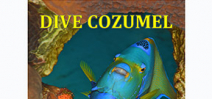 Cozumel diving guide ebook available Photo