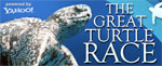 Photo documentary for the Great Turtle Race Photo