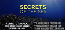 Howard Hall and Jonathan Bird to release IMAX film Photo