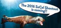 Cal for entries: 2016 SoCal Shootout Photo