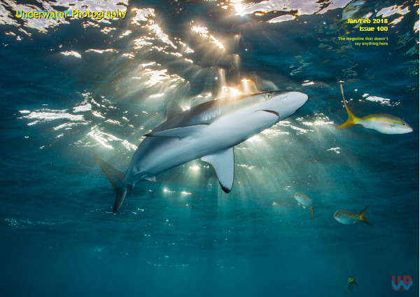 Underwater Photography Magazine on Wetpixel